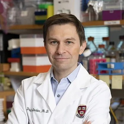 Portrait of David Sinclair, PhD, AO